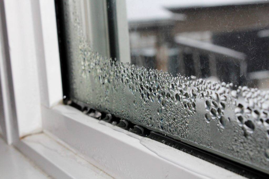 Window Insulation Film Problems You Need to Know Thermawood NZ