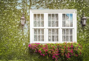 how-much-are-double-glazed-sash-windows